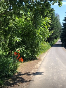 Działka budowlana 7a w Konopnicy