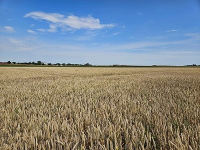 Działka budowlana