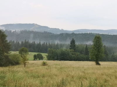 Działka budowlana na sprzedaż