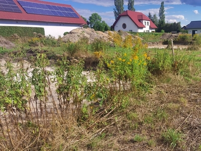 działka budowlana w Otyniu