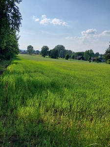 Działka budowlana 2000m przy samej Puszczy Knyszyńskiej