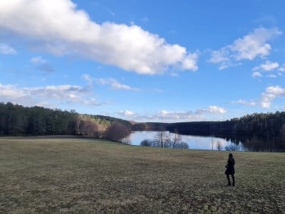 Działka siedliskowa Węsiory