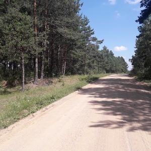 Działka rolno-leśna przy drodze powiatowej w pow.siemiatyckim