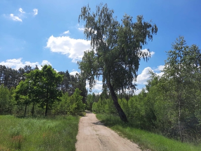 Działka w Tucholskim Parku Krajobrazowym