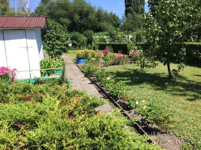 Ogródek działka rekreacyjna ROD Kolejarz Zabrze Centrum Południe