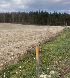 Pojezierze Brodnickie działka 1500m Karbowo ul. Parcelowa