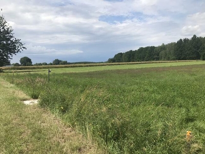 Działka Budowlana – Zasiadały, w ładnym miejscu.