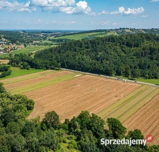 Działka rolna w Okocimiu