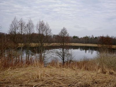 Działka rolno-budowlana Leleszki gm. Pasym