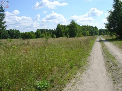 Działka Rumianka gm. Żabia Wola