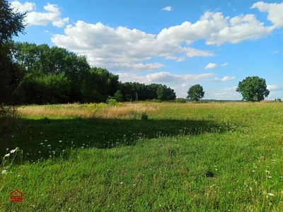 Działka Zwierzewo gm. Ostróda