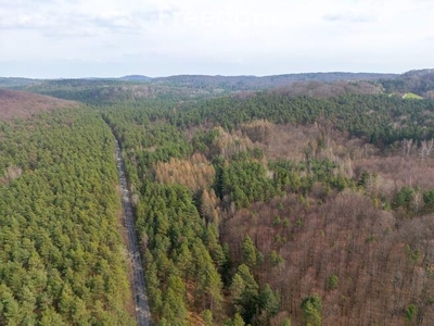 Zachwycająca działka leśno-rolna