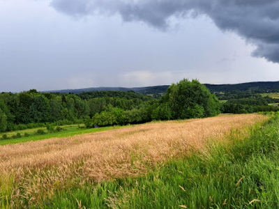 Działka rolna Sieklówka