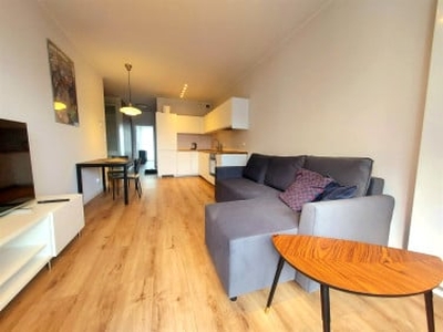 Apartament, ul. Langiewicza