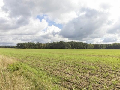 Działka budowlana Panoszów gm. Ciasna, Tysiąclecia