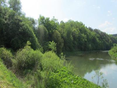 Bieszczady działka z linia brzegową rzeki