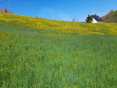 Działka do sprzedania Gumniska