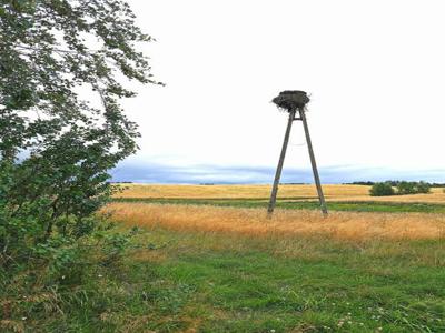 Działka rolna Nowa Karczma,