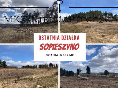 Działka - Sopieszyno Sopieszyno