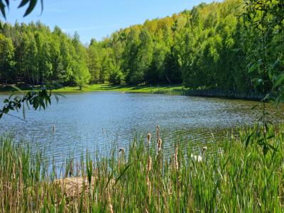 Prywatne jezioro - działka 6.15 ha Ulkowy.