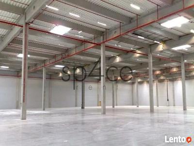 GOODMAN - Magazyn, Hala - Szczecin , 30250 m2