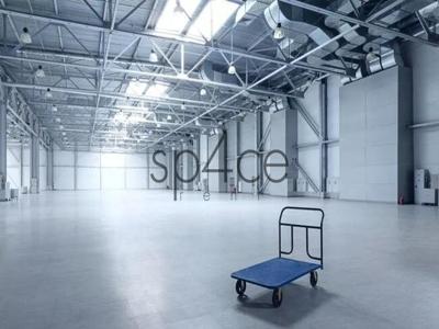 Hala/Magazyn/Warehouse, 10 000 m², Żyrardów