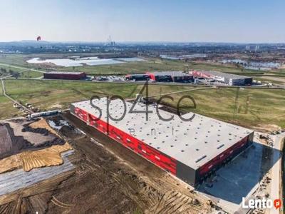 Hala/Magazyn/Warehouse, 12 000 m², Radom