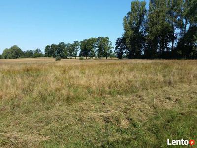 Pas nadmorski - działka rolna pod fotowoltaikę - farmę!