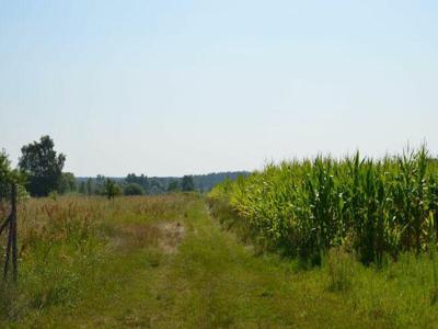 Piękne działki budowlane przy ul. Hubalczyków