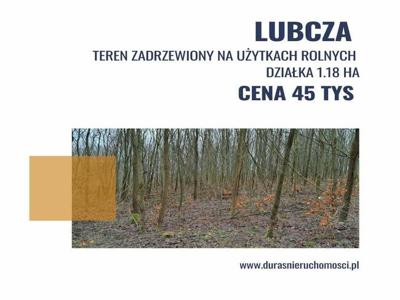 Lubcza działka 1.18 ha