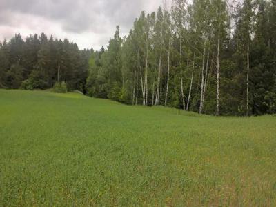 Mazury! Stare Juchy działki 3000m w okolicach jeziora Garbas