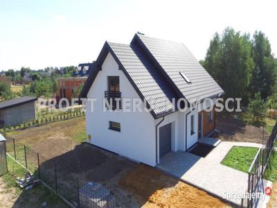 Oferta sprzedaży domu wolnostojącego Kolonia Brużyca 173.5m2