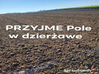 Przyjmę Pole w dzierżawe