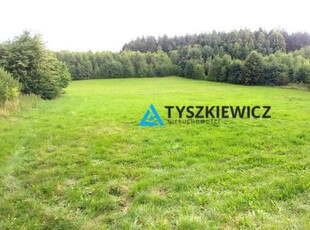 Duża działka blisko Gdańska - Bielkówko - 7300m2