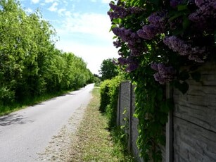 Działka budowlana, ul. Źródlana