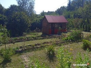 Działka ROD - domek, woda, prąd, przestrzeń 2działki w cenie