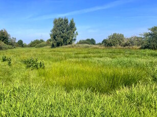 Działka rolna, ul. Helska