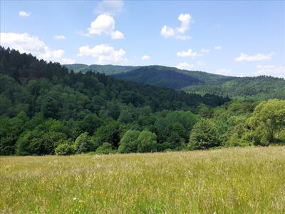 Działka na sprzedaż, Leski, Terka