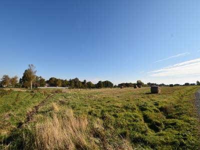 Nowy Skoszyn Waśniów Ostrowiecki Świętokrzyskie Biuro Nieruchomości