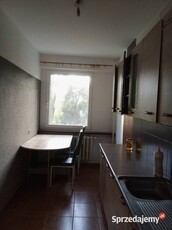 Mieszkanie 63 m parter balkon od zaraz