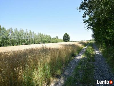 Działka na sprzedaż Kolonia Drzewce gmina Nalęczów !