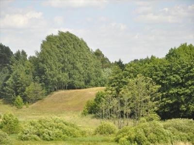 Działka na sprzedaż, Lidzbarski, Stryjkowo