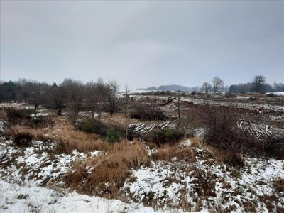 Działka na sprzedaż, Olsztyński, Jemiołowo