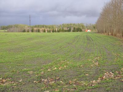 Działka na sprzedaż, Olsztyński, Witramowo