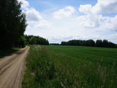 Działka na sprzedaż, Węgorzewski, Harsz