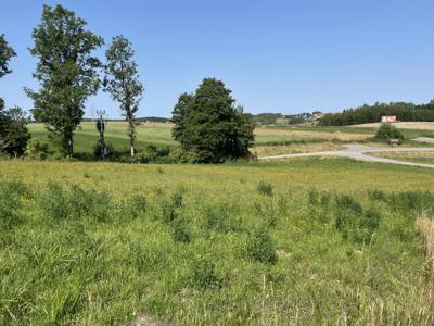 Bartąg Stawiguda Olsztyński WarmińskoMazurskie Biuro Nieruchomości