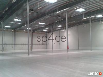 Hala/Magazyn - warehouse, 8 100 m², Piaseczno