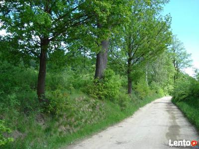 Karkonosze ostatnie działki nad zalewem wodnym Sosnówki