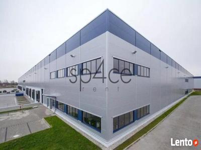 PANATTONI - Magazyn, Hala - Szczecin , 30250 m2