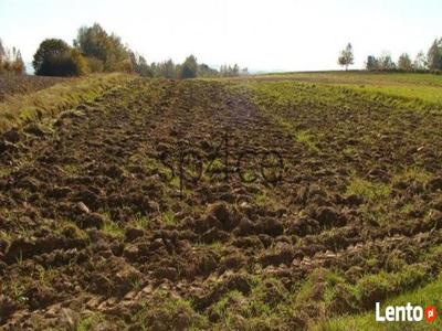 Pracujące GOSPODARSTWO ROLNE. - 700 ha